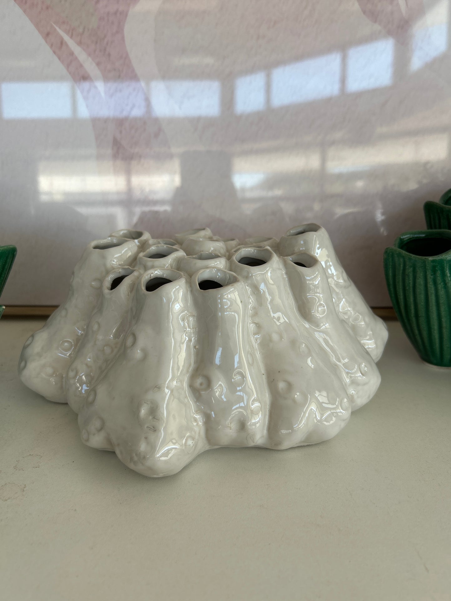 Ivory House White Coral