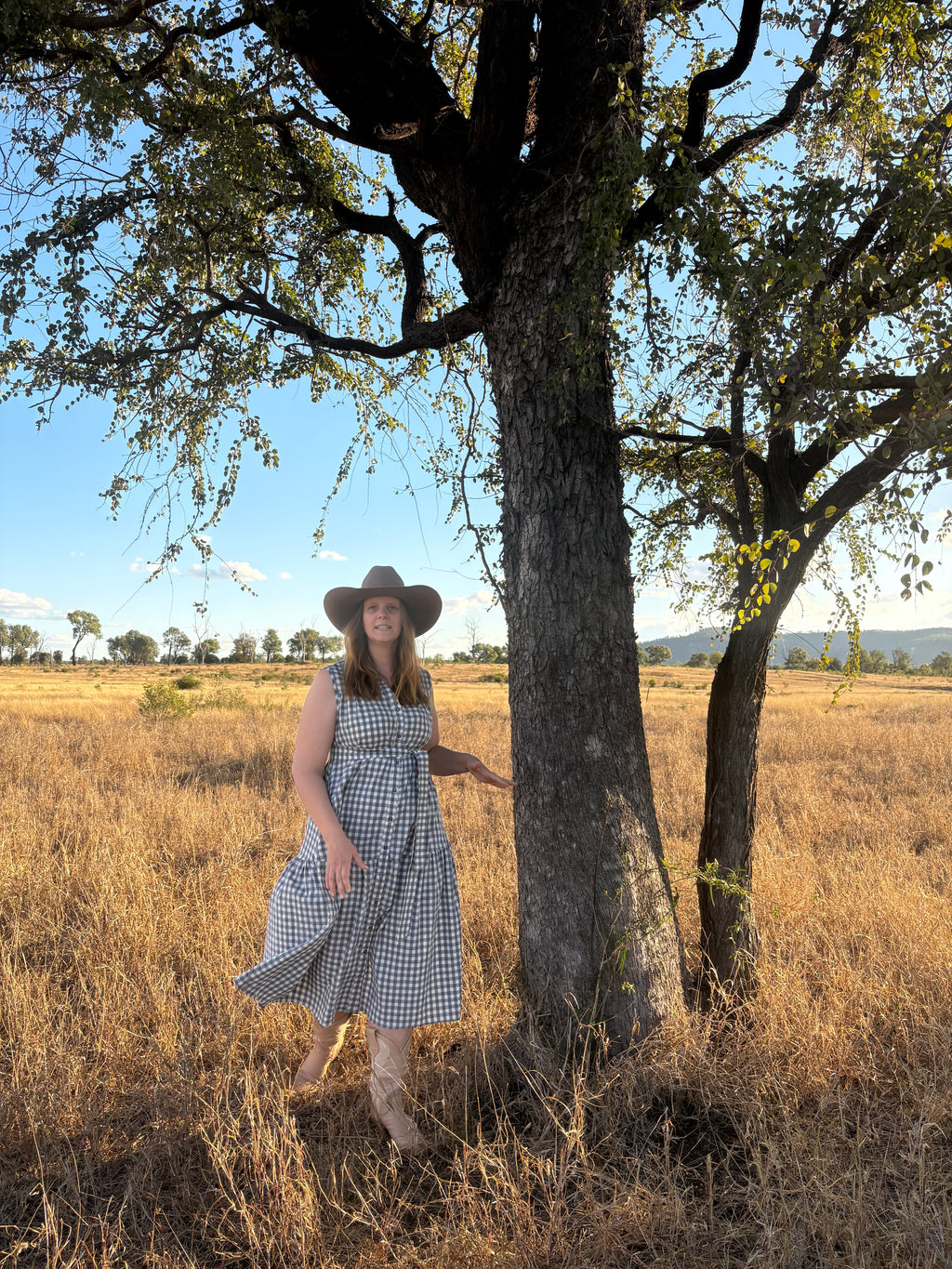 Blue Gingham Dress