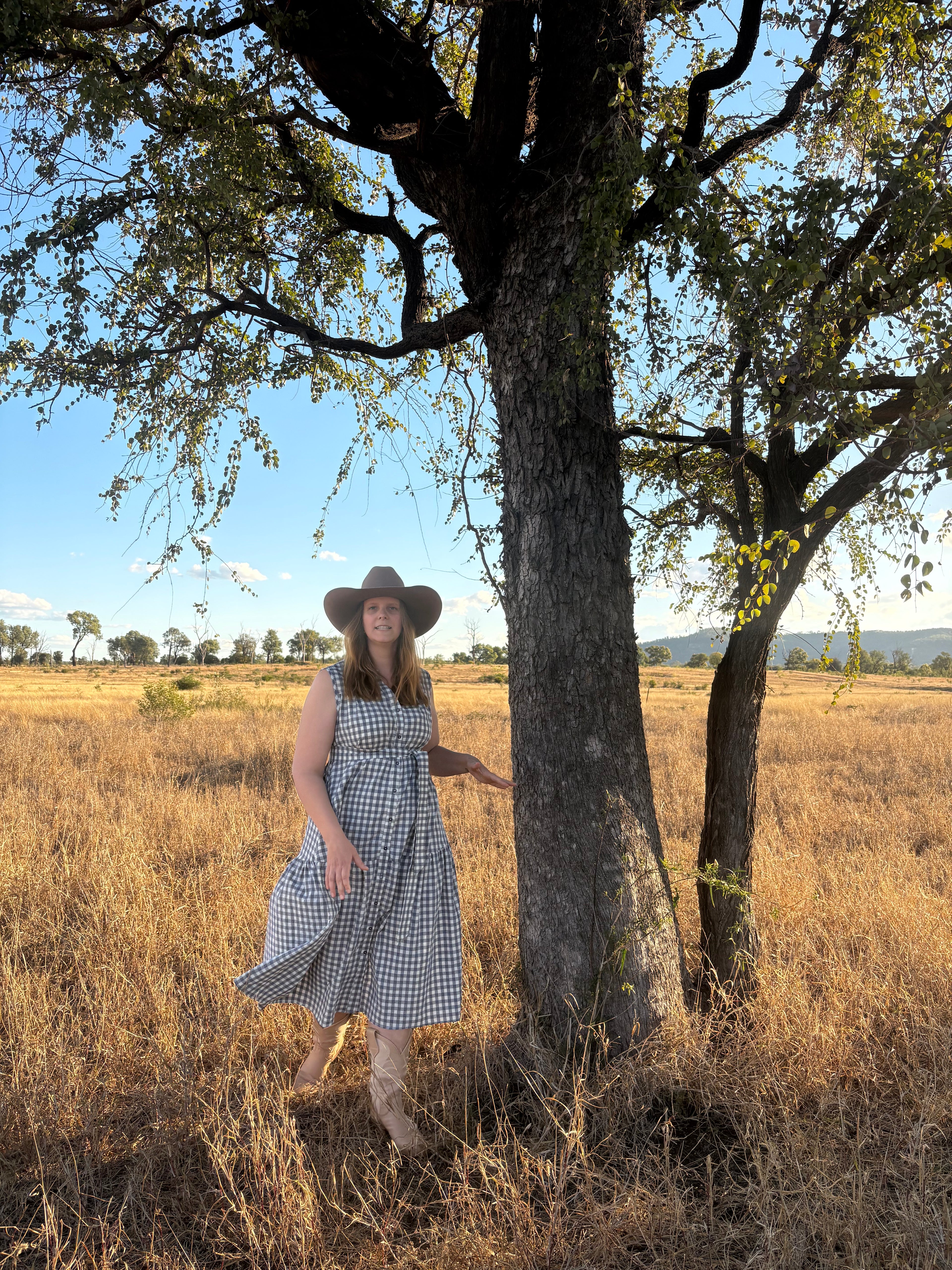 Blue Gingham Dress